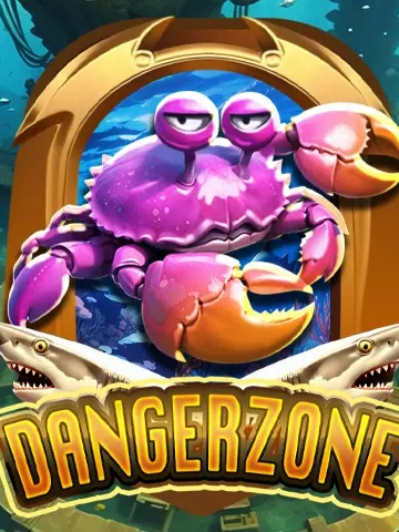Danger Zone